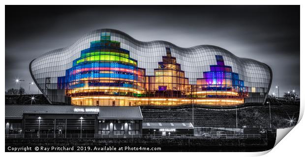 The Sage Colour Popped Print by Ray Pritchard