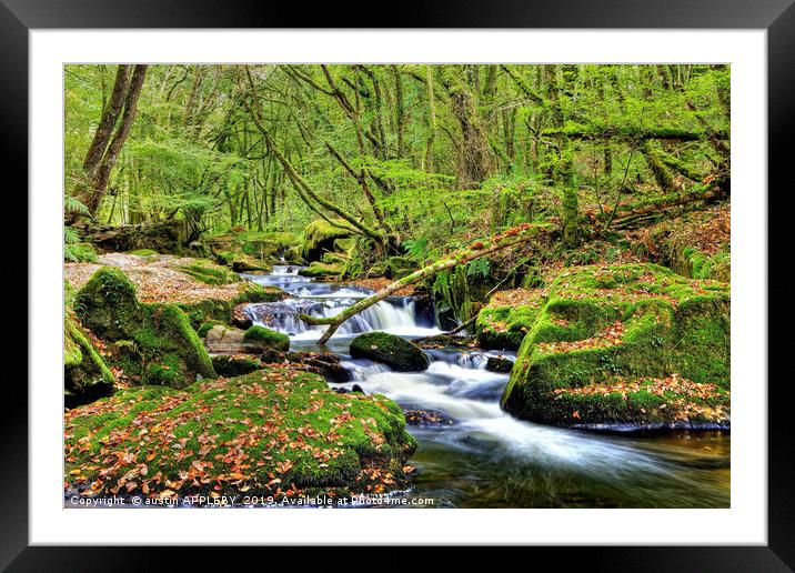 Golitha Falls At Autumn Framed Mounted Print by austin APPLEBY