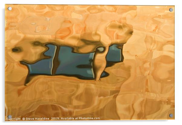 Abstract Fish Acrylic by Steve Haseldine