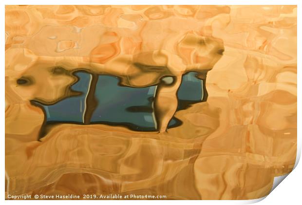 Abstract Fish Print by Steve Haseldine
