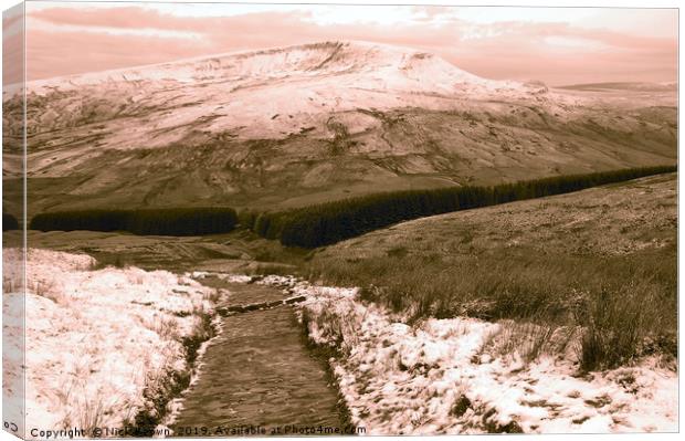 Brecon Beacons Canvas Print by Nick Keown