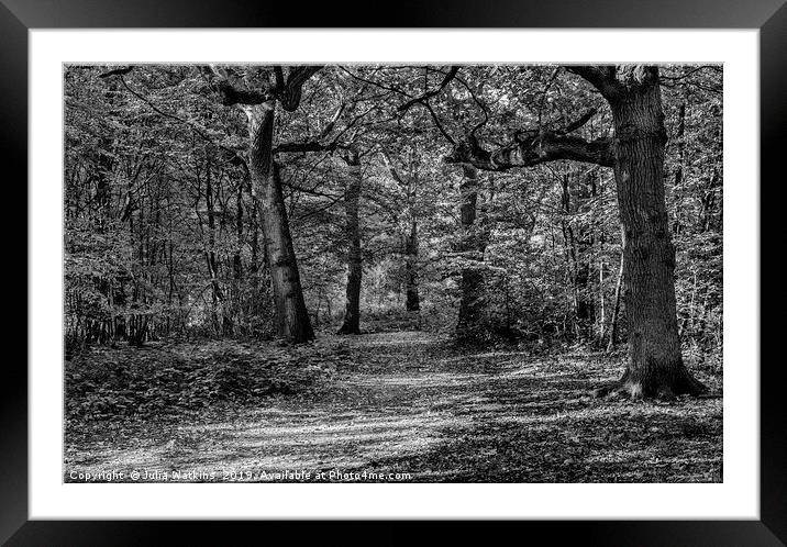 Path to Solitude Framed Mounted Print by Julia Watkins
