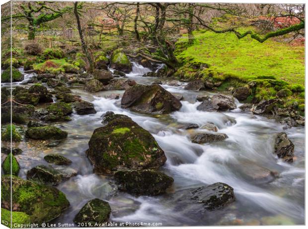 Woodland River Canvas Print by Lee Sutton