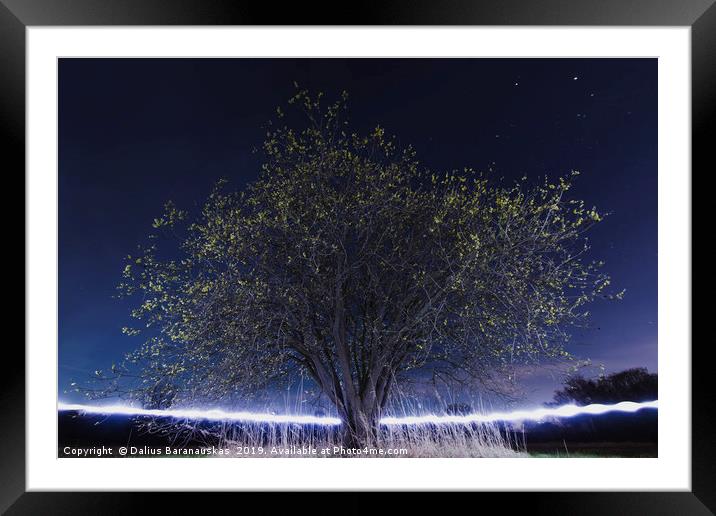 The Magical tree Framed Mounted Print by Dalius Baranauskas