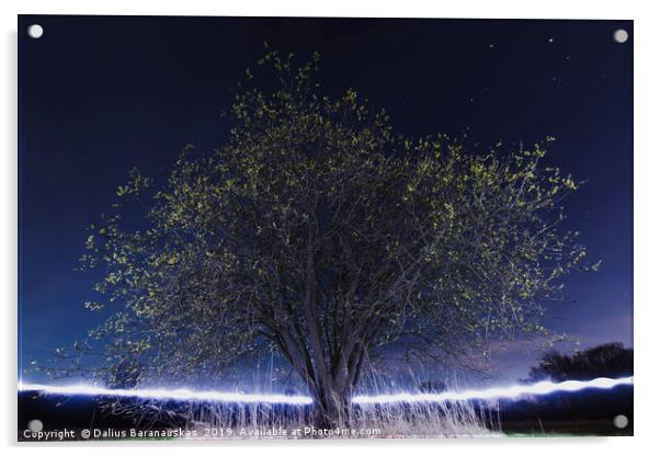 The Magical tree Acrylic by Dalius Baranauskas