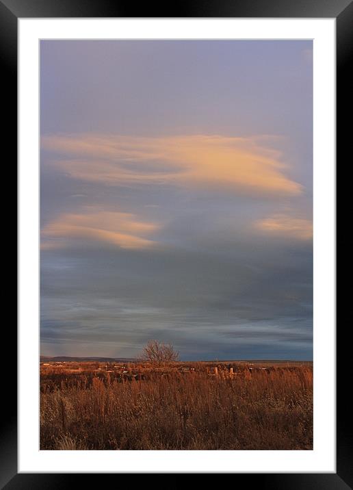 Sunrise Over The Ranch Framed Mounted Print by Irina Walker