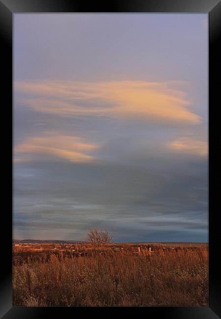 Sunrise Over The Ranch Framed Print by Irina Walker