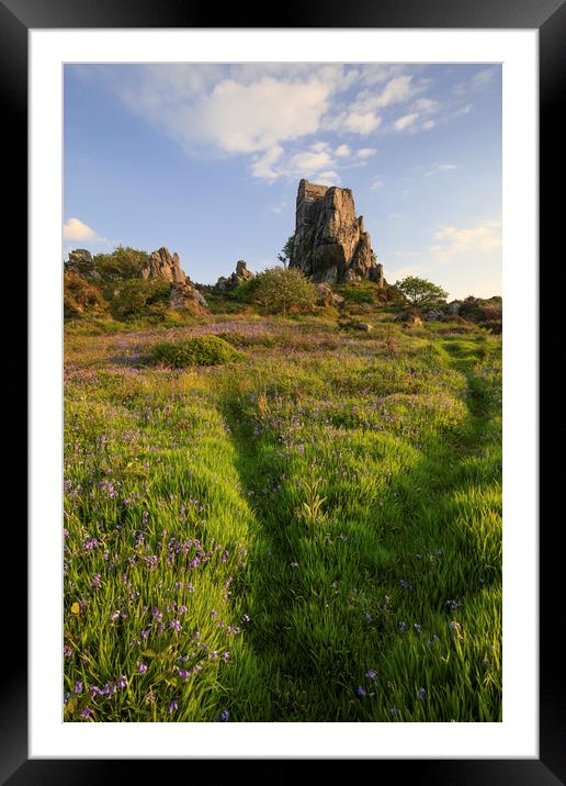 Bluebells at Roche Rock Framed Mounted Print by Andrew Ray