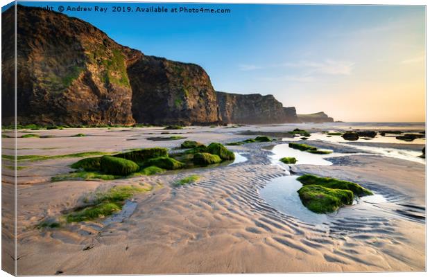 Cliffs at Whipsiderry Beach Canvas Print by Andrew Ray