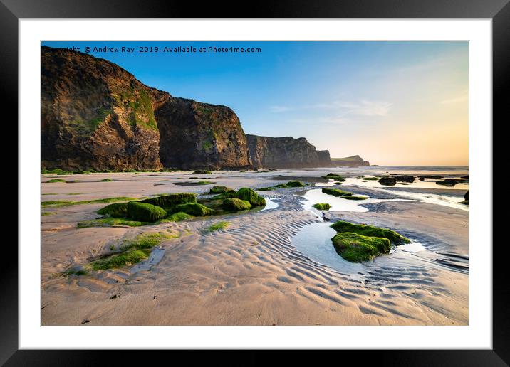 Cliffs at Whipsiderry Beach Framed Mounted Print by Andrew Ray
