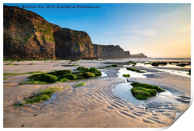 Cliffs at Whipsiderry Beach Print by Andrew Ray