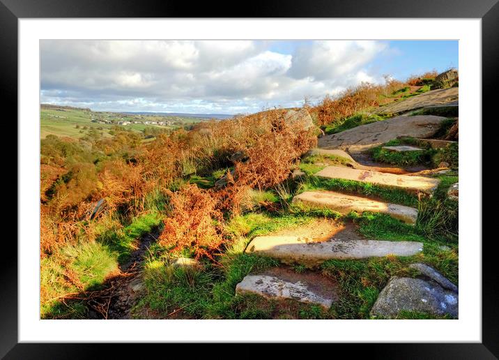 Yorkshire Dales Path Framed Mounted Print by Diana Mower