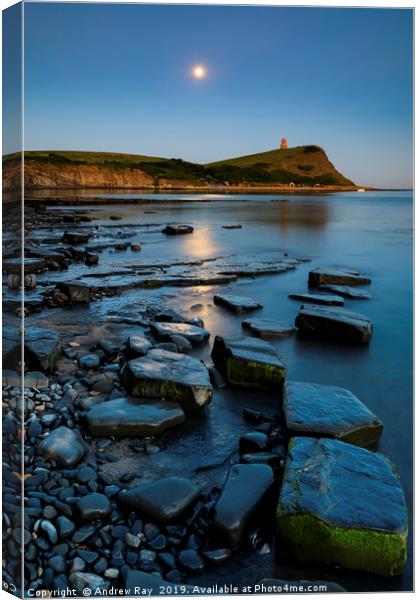 Moon over Kimmeridge Bay Canvas Print by Andrew Ray