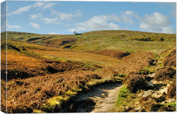 Path to Top Withens Canvas Print by Diana Mower