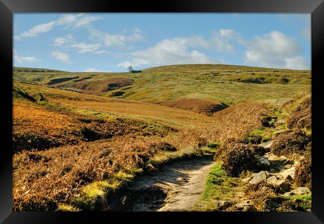 Path to Top Withens Framed Print by Diana Mower