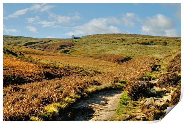 Path to Top Withens Print by Diana Mower