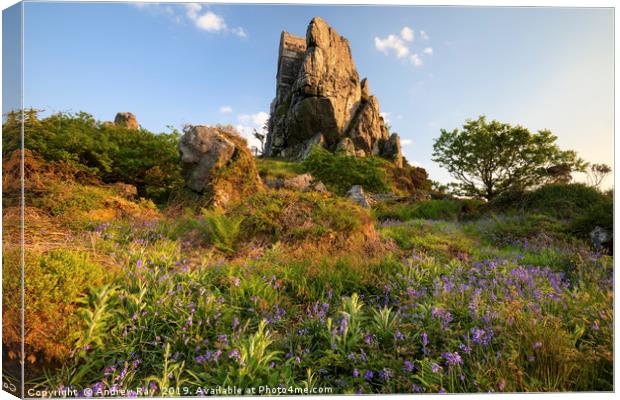 Spring at Roche Rock Canvas Print by Andrew Ray