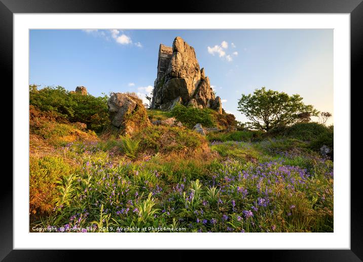 Spring at Roche Rock Framed Mounted Print by Andrew Ray