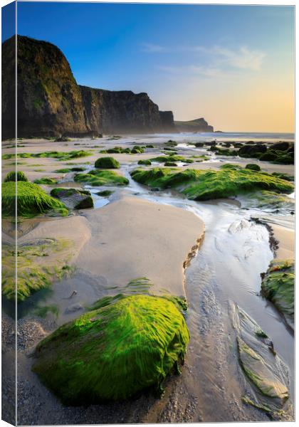 Whipsiderry Beach Canvas Print by Andrew Ray