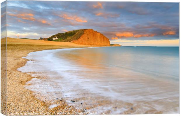 East cliff at sunset (West Bay) Canvas Print by Andrew Ray