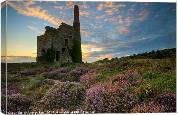 Summer sunset (Tywarnhayle) Canvas Print by Andrew Ray