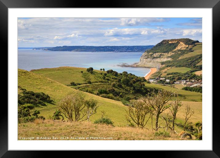 Above Seatown (Dorset) Framed Mounted Print by Andrew Ray