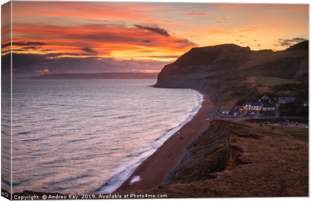 The Golden Cap and Seatown at sunset Canvas Print by Andrew Ray