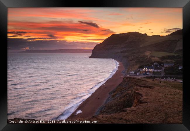 The Golden Cap and Seatown at sunset Framed Print by Andrew Ray