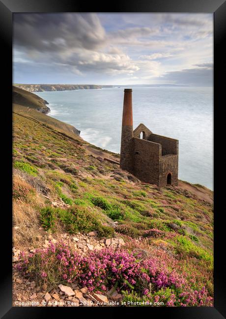 Early evening light (Wheal Coates) Framed Print by Andrew Ray