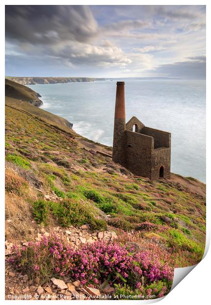 Early evening light (Wheal Coates) Print by Andrew Ray