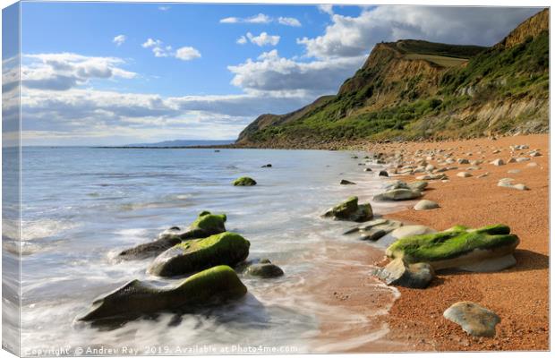 Eype Mouth Beach Canvas Print by Andrew Ray