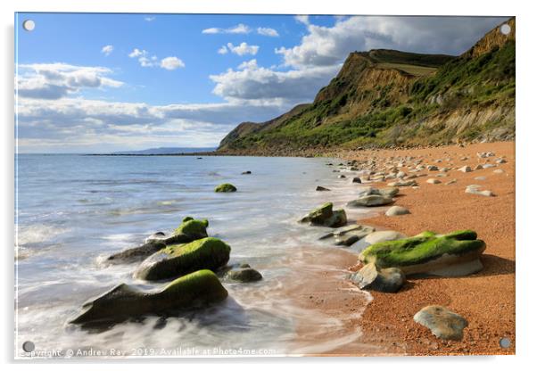 Eype Mouth Beach Acrylic by Andrew Ray