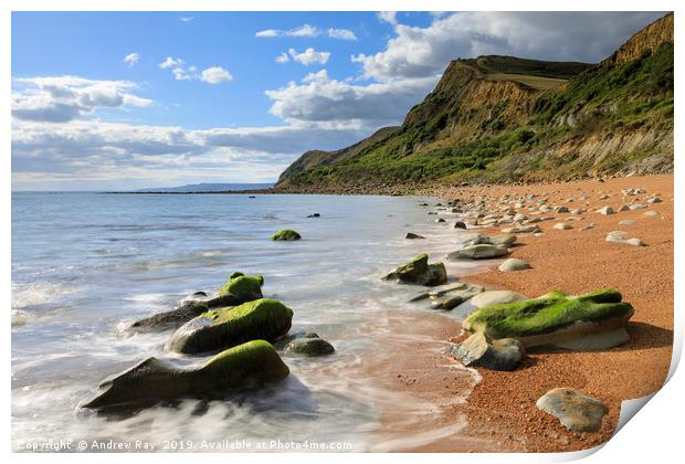 Eype Mouth Beach Print by Andrew Ray