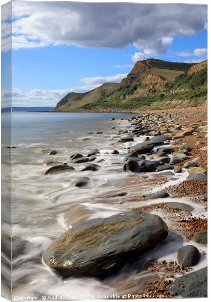 Rocky shore (Eype Mouth Beach Canvas Print by Andrew Ray