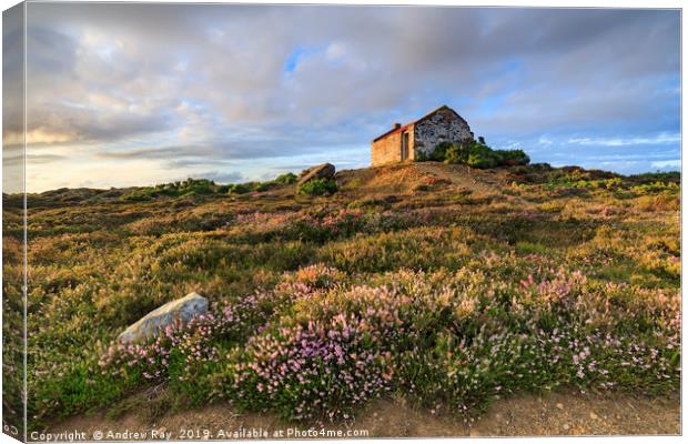 Tywarnhayle crib hut Canvas Print by Andrew Ray