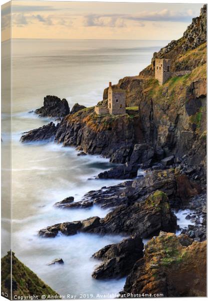 Summer evening (Botallack) Canvas Print by Andrew Ray