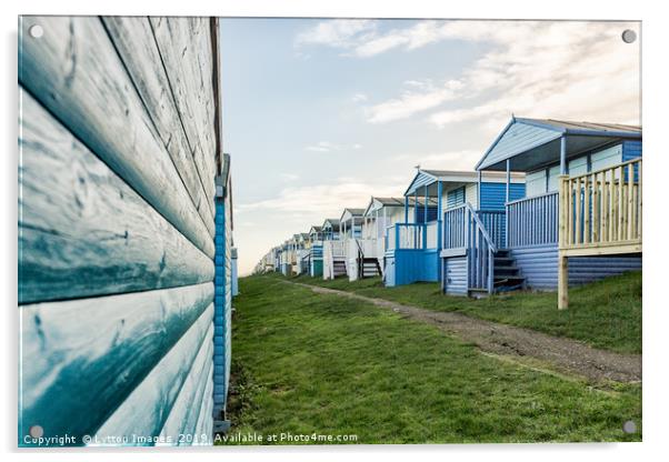 Tankerton Beach Huts Acrylic by Wayne Lytton