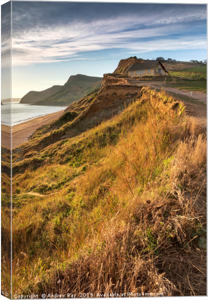 Clifftop view (Eype) Canvas Print by Andrew Ray