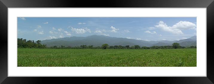 Honduran Landscape Framed Mounted Print by Amy Hall