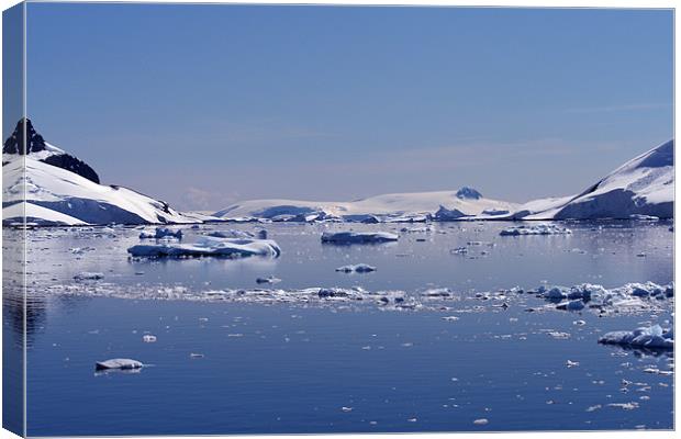 Icebergs in Antarctica Canvas Print by Ruth Hallam