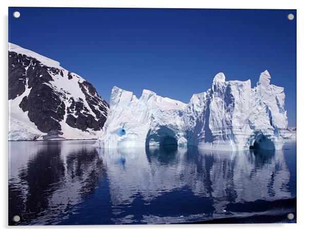 Icebergs in Antarctica 2 Acrylic by Ruth Hallam