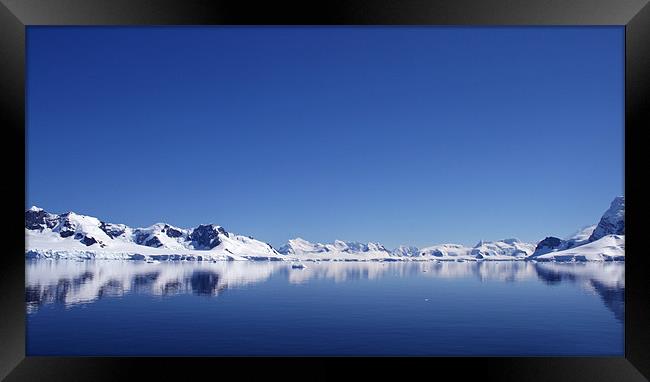 Icebergs in Antarctica 3 Framed Print by Ruth Hallam