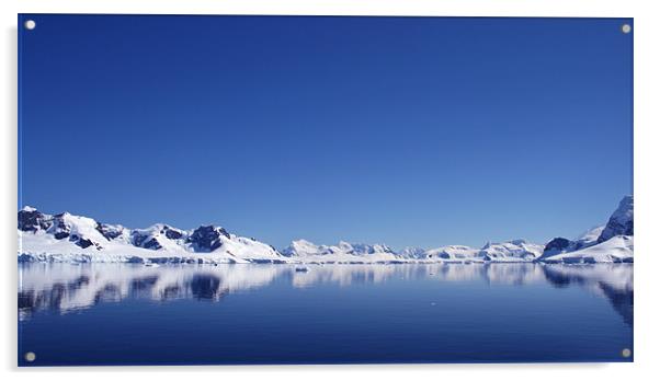 Icebergs in Antarctica 3 Acrylic by Ruth Hallam