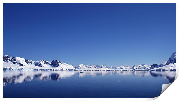 Icebergs in Antarctica 3 Print by Ruth Hallam