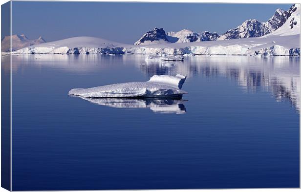 Icebergs in Antarctica 4 Canvas Print by Ruth Hallam