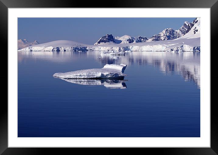 Icebergs in Antarctica 4 Framed Mounted Print by Ruth Hallam