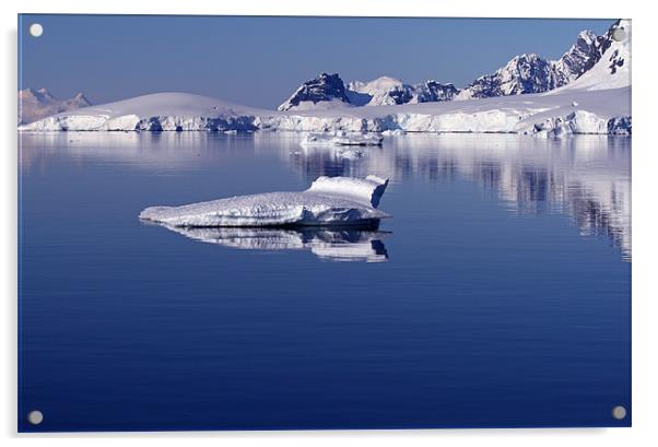 Icebergs in Antarctica 4 Acrylic by Ruth Hallam