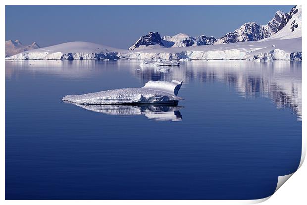 Icebergs in Antarctica 4 Print by Ruth Hallam
