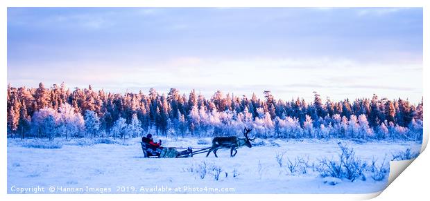 Reindeer in the snow Print by Hannan Images