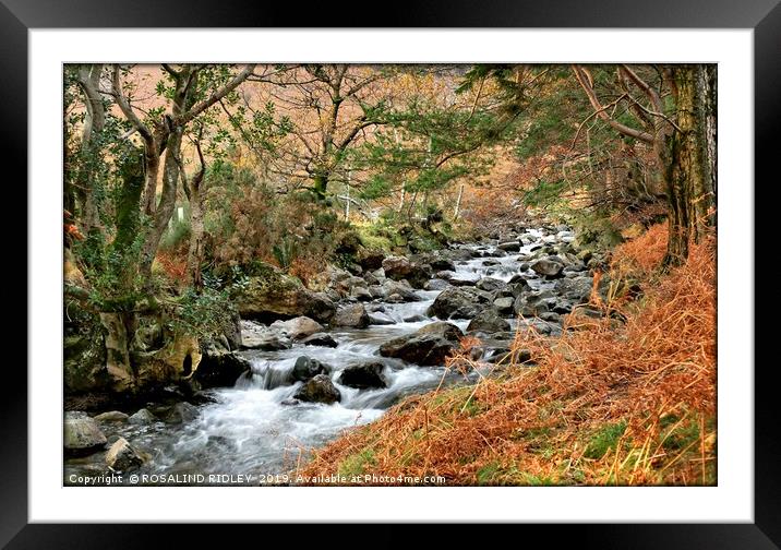 "Autumn Stream" Framed Mounted Print by ROS RIDLEY